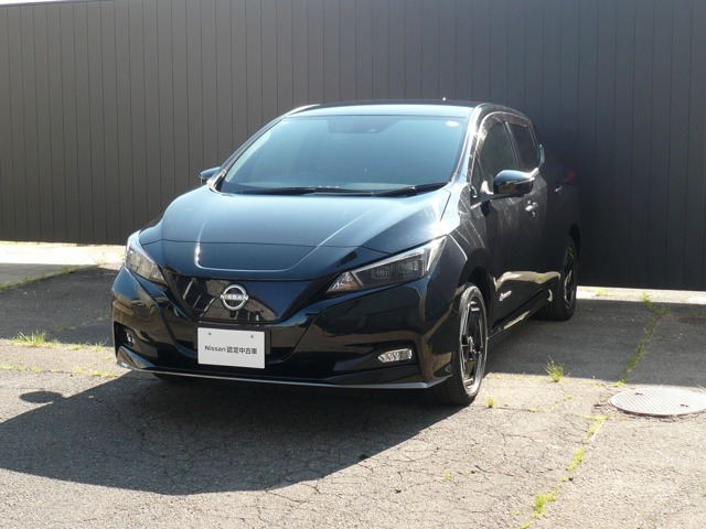 リーフ e+ X 
