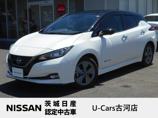リーフ  e+ アーバンクロム