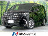 ガラスルーフ 両側電動ドア 純正14型ナビ 全周囲カメラ 電動ステップ