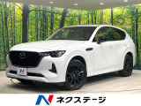 純正12.3インチナビ 全集囲カメラ レーダークルーズ ETC ドラレコ