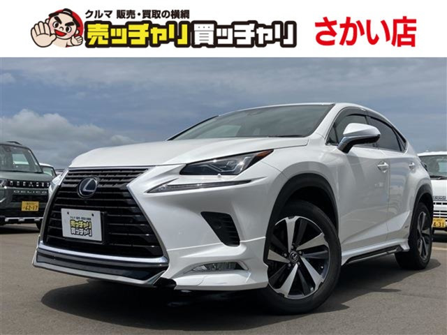 NX 300h Iパッケージ 