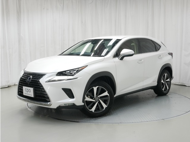 NX300h Iパッケージ 4WD