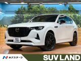 パノラマルーフ 12型ナビ 全周囲カメラ ブラインドスポットモニター