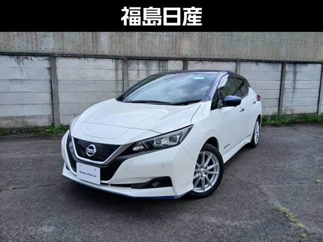 リーフ e+ X