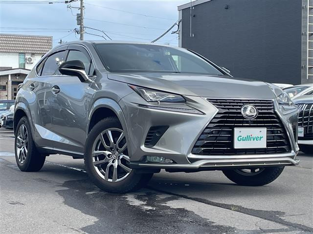 NX300 スパイス&シック 4WD4WD 本革シート