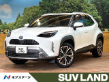 8型ディスプレイ 全周囲カメラ ブラインドスポットモニター AC100V