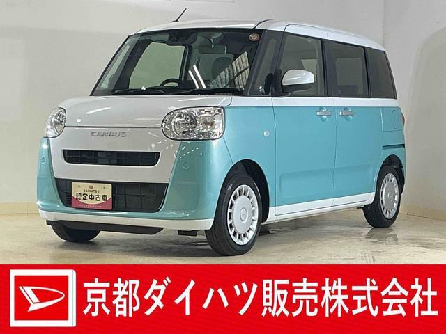 ムーヴキャンバス  ストライプス X