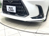 NX 250 バージョンL 