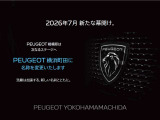 3008 GT 