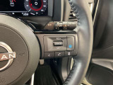 プロパイロット仕様車です