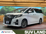 サンルーフ 両側電動ドア BIG-X11型ナビ 後席モニター