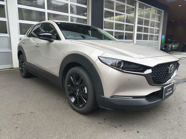 CX-30 2.0 20S レトロスポーツエディション 4WD