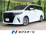 ガラスルーフ 両側電動ドア 純正14型ナビ 後席モニター 全周囲カメラ