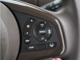 ◆アダプティブクルーズコントロール◆予め設定した車速内でクルマが自動的に加減速。前走車との適切な車間距離を維持しながら追従走行します。【LKAS】車線維持支援システムでステアリング操作を支援。