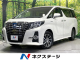 BIG-X10インチナビ ハーフレザーシート コーナーセンサー