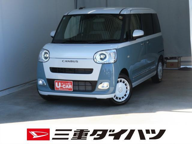 ムーヴキャンバス  ストライプス G