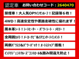 エルグランド 3.5 VIP 4WD サンルーフ 黒本革 全周囲モニター