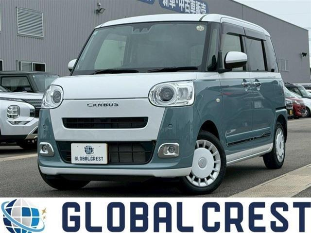ムーヴキャンバス  ストライプス G