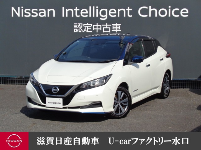 リーフ e+ G