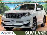 純正9型ナビ 全周囲カメラ ブラインドスポットモニター レーダークルーズ