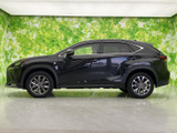 NX 300h Fスポーツ 