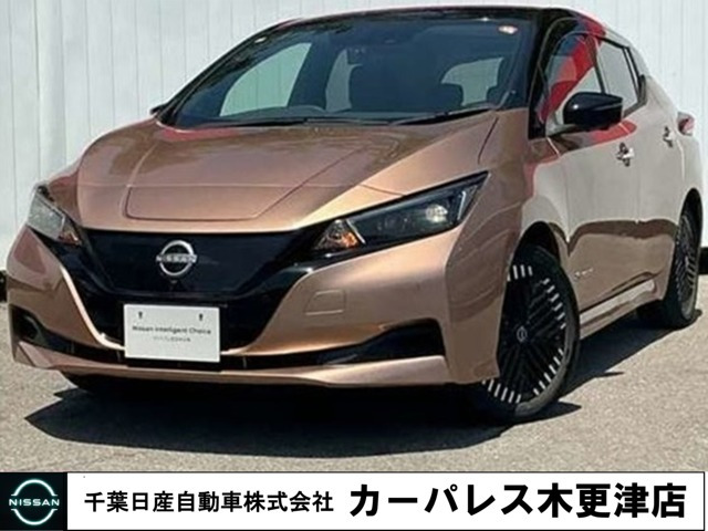 リーフ  X Vセレクション
