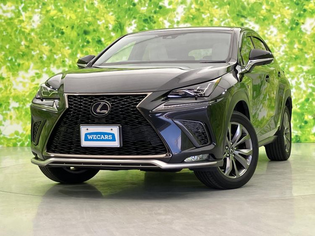 NX300h Fスポーツ