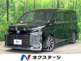 快適利便PKG 後席モニター 両側電動ドア 全周囲カメラ 100V電源