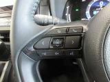 ステアリングスイッチは前方から目を離すことなく操作することが可能。わき見運転の防止に。