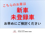 シビックタイプR 2.0 レーシング ブラックパッケージ 