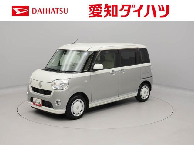 ムーヴキャンバス X リミテッド メイクアップ SAIII 