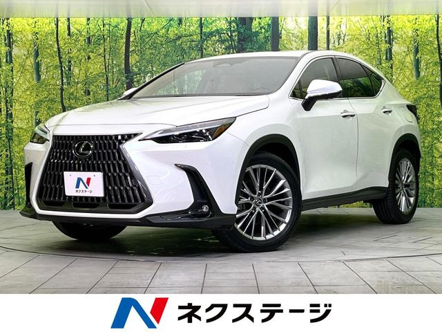NX 250 バージョンL 