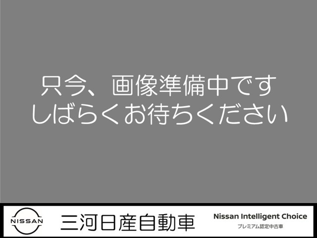 デイズルークス X