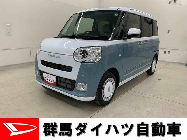 ムーヴキャンバス ストライプス G