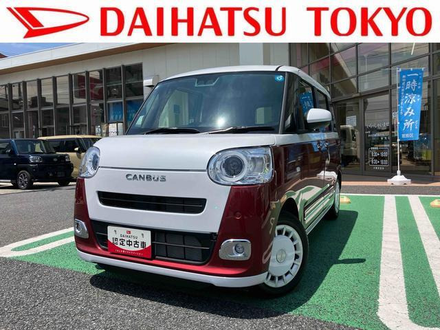 ムーヴキャンバス  ストライプス G