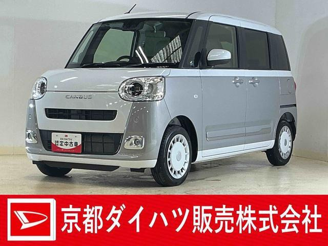 ムーヴキャンバス  ストライプス G