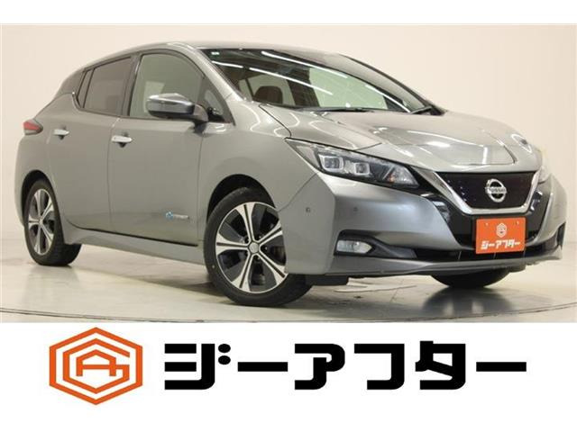 リーフ G 禁煙車 純正ナビ 全周囲カメラ