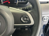 前方の車との車間を設定し、スピードを上げたり緩めたりを自動で行ってくれる追尾式の「レーダークルーズ」。上級装備の一つです!高級車にしかつかない嬉しい機能です。