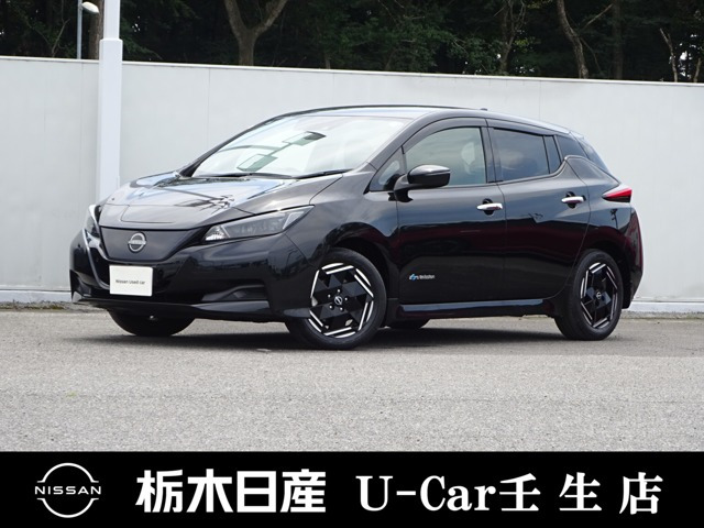 リーフ X 