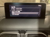 メーカーオプションTVチューナー付!
