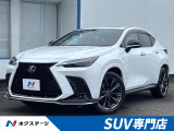サンルーフ 3眼LEDヘッド オレンジキャリパー 14インチナビ