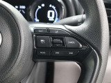 レーダークルーズコントロール使用時に、同一車線内中央を走行できるよう操舵を支援するレーントレーシングアシスト[LTA]が装着されています。