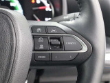 レーダークルーズコントロール作動時に車線維持に必要な運転操作の支援を行う「レーントレーシングアシスト(LTA)」を搭載しています。