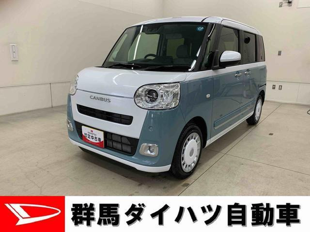 ムーヴキャンバス ストライプス G