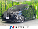 サンルーフ エアロ 両側電動ドア SDナビ 後席モニター バックカメラ