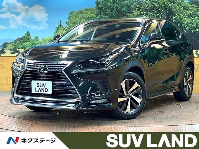 NX 200t Iパッケージ 