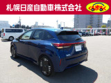 プラスチックバイザー プライバシーガラス