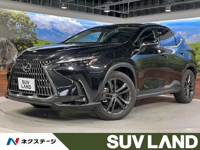 NX 250 バージョンL