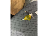 車によってはストックヤードに置いていることもありますので、ご来店の前に事前にご連絡いただけますと幸いです。