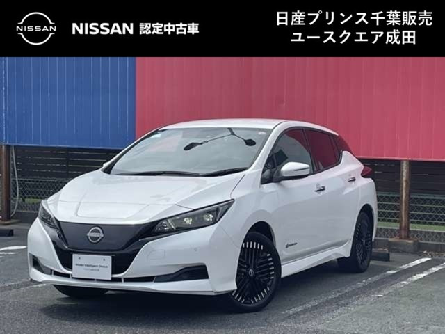 リーフ e+ X 